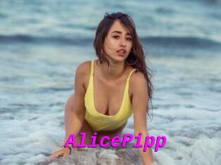 AlicePipp