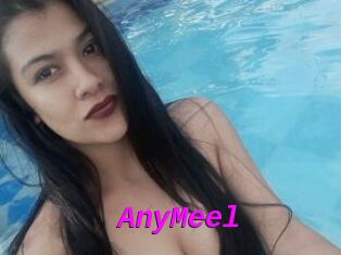 AnyMeel