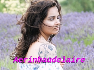 Aerinbaudelaire