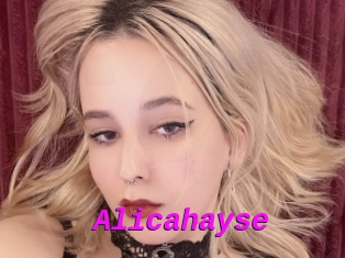 Alicahayse