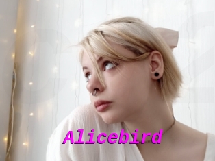Alicebird