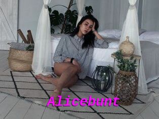 Alicebunt
