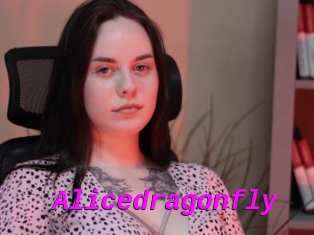 Alicedragonfly