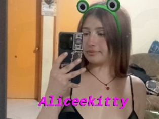 Aliceekitty