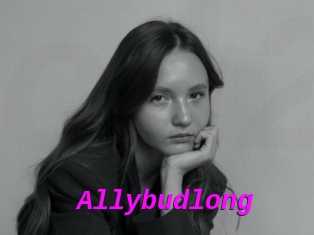 Allybudlong