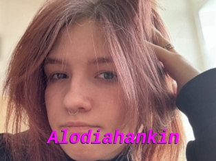 Alodiahankin