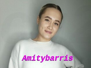 Amitybarris