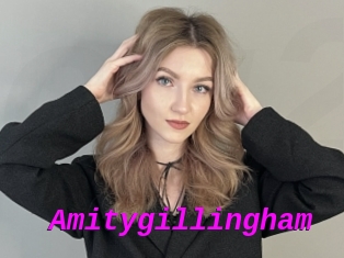 Amitygillingham