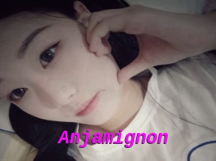 Anjamignon