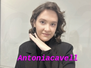 Antoniacavell