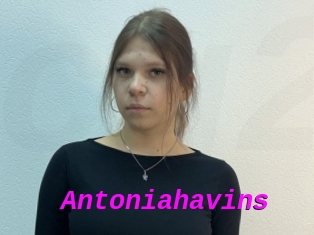 Antoniahavins