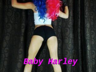Baby_Harley
