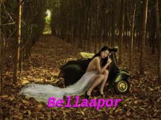 Bellaapor