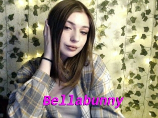 Bellabunny