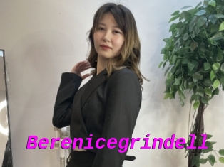 Berenicegrindell