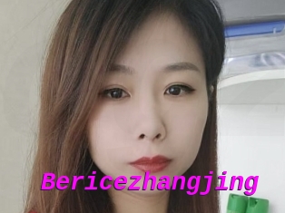 Bericezhangjing