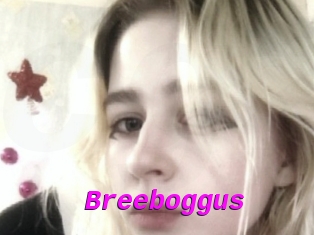 Breeboggus