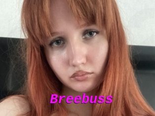 Breebuss