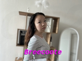 Breecoote