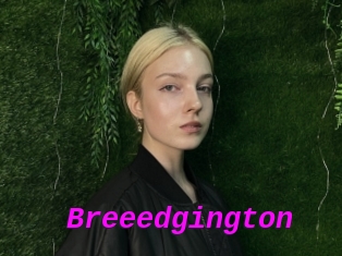 Breeedgington