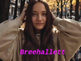 Breehallett