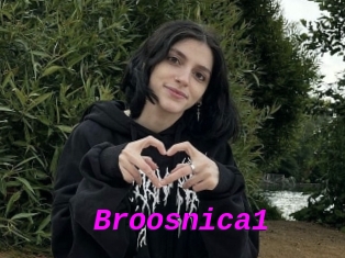 Broosnica1