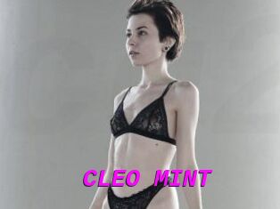 CLEO_MINT