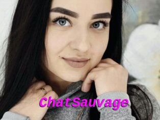 ChatSauvage