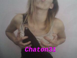 Chaton31