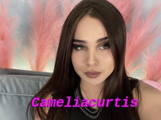 Cameliacurtis