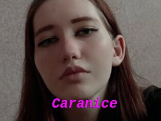 Caranice