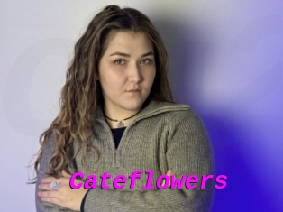 Cateflowers