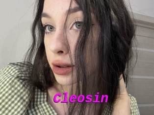 Cleosin
