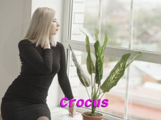 Crocus