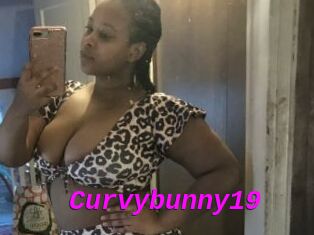 Curvybunny19
