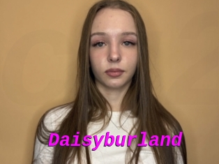 Daisyburland