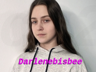Darlenebisbee