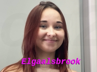 Elgaalsbrook