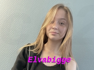Elvabigge