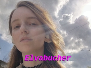 Elvabucher