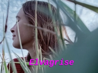 Elvagrise