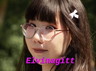 Elvinagitt