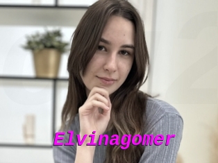 Elvinagomer