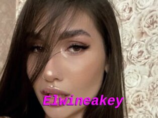 Elwineakey