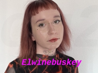 Elwinebuskey