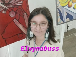 Elwynabuss