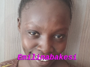 Emilinabakesi