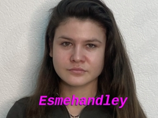 Esmehandley