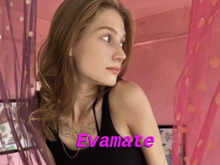 Evamate