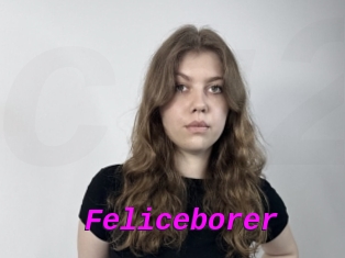 Feliceborer